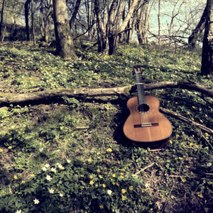 Celandine by Will Cookson