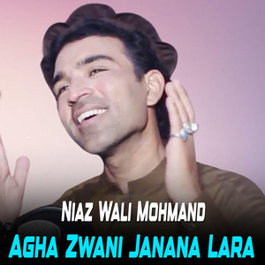 Niaz Wali Mohmand - Janan Che Rasra We Tal Ba