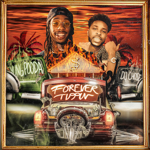 Forever Tippin