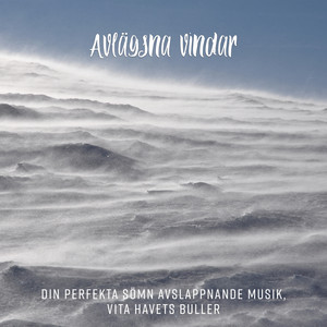 Avlägsna vindar: Din perfekta sömn avslappnande musik, Vita havets buller album