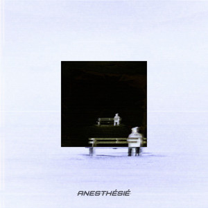Portada de Anesthésié
