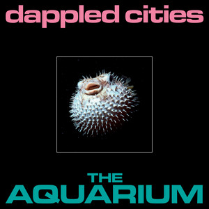 I'm Not Here by Dappled Cities