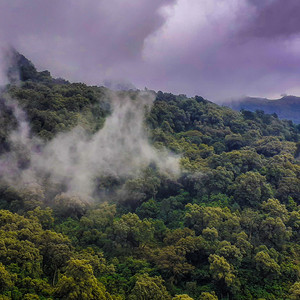 Nathnael Gashaw - ጌታ እየሱሴ