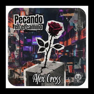 Pecando En El Camino by Alex Cross