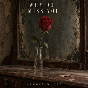Why Do I Miss You by Almost Whole