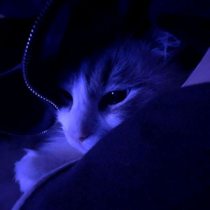 Phạm Gia Huy - trời giấu trời mang đi