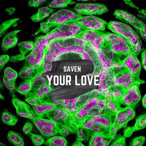 Your Love (Radio edit) by Saven