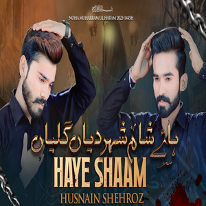 Husnain Shehroz - Haye Sham Shahar Diyan Galiyan