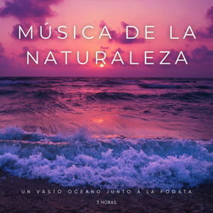 Música De La Naturaleza: Un Vasto Océano Junto A La Fogata - 3 Horas