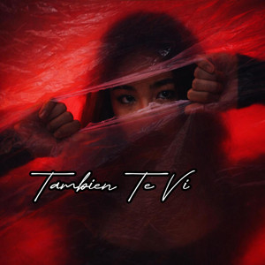 También Te Vi by Lil Zaan