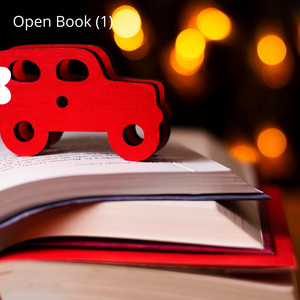 Open Book (1) by La Bella Emelyn