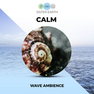 Calm Wave Ambience album