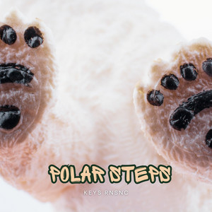 Polar Steps by Keys RNSNC