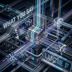 What You Say by Lucie F