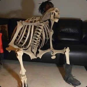Skeletrix Mode by Edward Skeletrix Archive