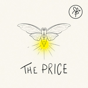 The Price by roan bloom