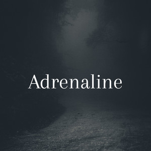 GABRIEL ANDRADE PRODUÇÕES - Adrenaline