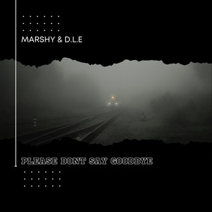 Please Dont Say GoodBye