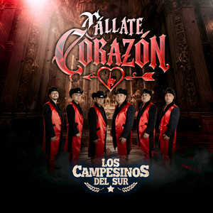 Cállate Corazón by Los campesinos del sur
