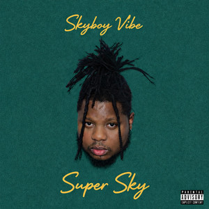 Never Gonna Be by Skyboy Vibe