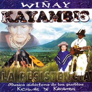Wiñay Kayambis - Sisaku