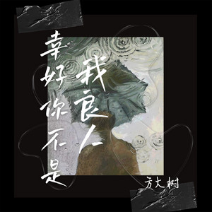 幸好你不是我良人 by 方大树