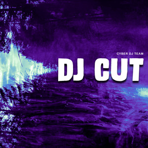 Cyber DJ Team - Dj Cut