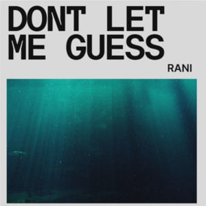 Don't Let Me Guess by Rani