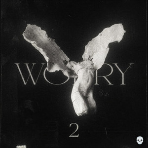 Worry 2 - Slowed by The Wushe