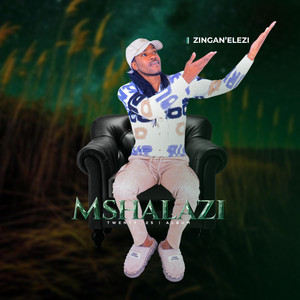 Mshalazi - Ngibhekene nezinja