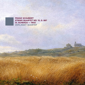 String Quartet No. 14 in G minor, D 810 'Death and the Maiden'; String Quartet No. 9 in G minor, D 173