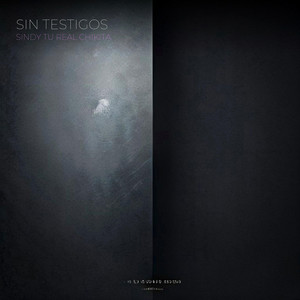 Sin Testigos by Tu REAL Chikita
