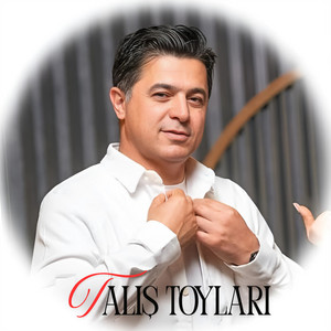 Ali Pormehr - Talış Toyları