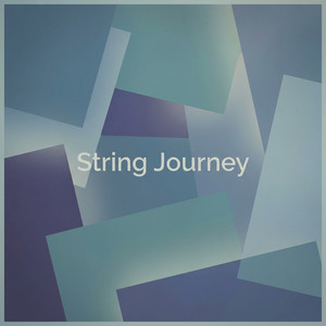 String Journey by Mikael Rourke
