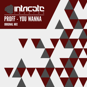 You Wanna - Original Mix cover art