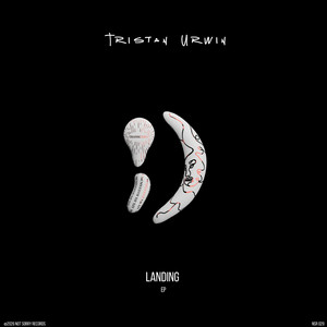 Landing by Tristan Urwin