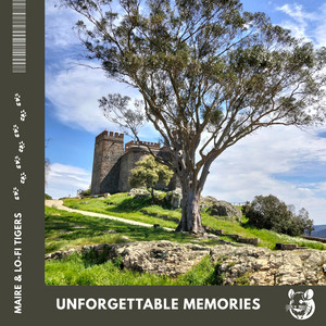 Unforgettable Memories by Maire, Lo-Fi Tigers