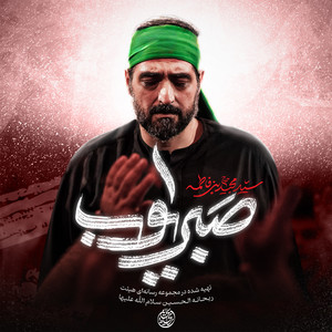 Sabre Ayoob by Majid Bani Fatemeh
