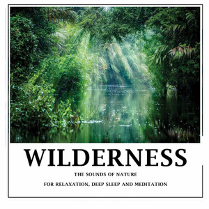 Nature Sound Emporium - Wilderness - Nature Sounds 2