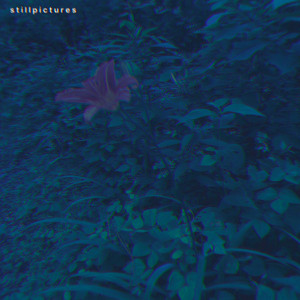 a dirge for a queen by still pictures