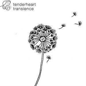 Tenderheart — Transience