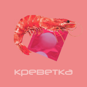 Молодий дід — Креветка