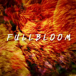 full bloom by kissinnoize