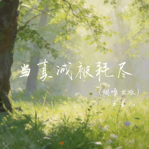 当真诚被耗尽 - 烟嗓女版 by 王星儿