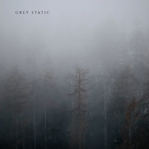Static Dreams by Grey Static