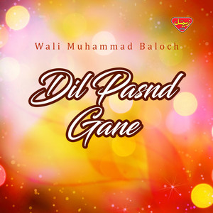 Wali Muhammad Baloch poster