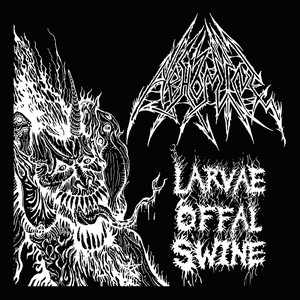 Larvae Offal Swine