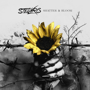 Shatter & Bloom - Radio Edit by STELLVRIS