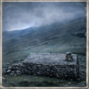 La Hiedra by Rabelius