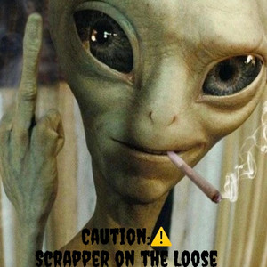 Ralf Donn - SCRAPPER